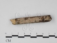 登錄號:F0007817藏品圖，第4張