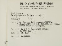 韌革菌屬藏品圖，第2張