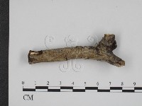 登錄號:F0007820藏品圖，第1張