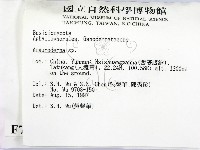 假芝屬藏品圖，第2張