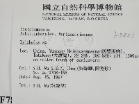登錄號:F0007823藏品圖，第2張