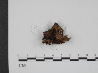 登錄號:F0007823藏品圖，第3張