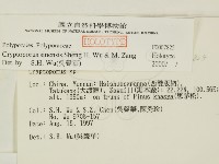 登錄號:F0007825藏品圖，第2張