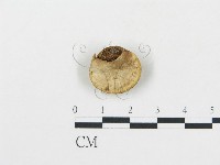 登錄號:F0007826藏品圖，第1張