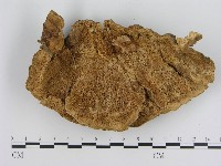 登錄號:F0007830藏品圖，第3張