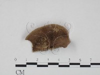 登錄號:F0007831藏品圖，第3張