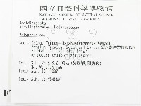 多孔菌屬藏品圖，第2張