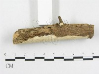 登錄號:F0007842藏品圖，第3張