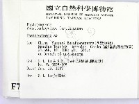 顯絲菌屬藏品圖，第2張