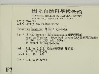 登錄號:F0007847藏品圖，第2張