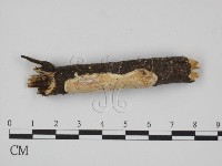 登錄號:F0007847藏品圖，第1張