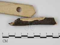 登錄號:F0007847藏品圖，第3張