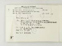 登錄號:F0007848藏品圖，第2張