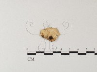 登錄號:F0007848藏品圖，第3張