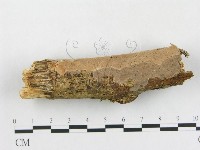 登錄號:F0007849藏品圖，第1張