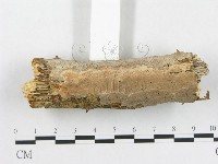 登錄號:F0007849藏品圖，第3張