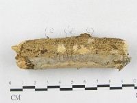 登錄號:F0007849藏品圖，第4張