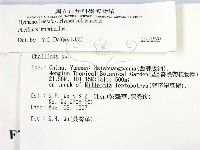 登錄號:F0007850藏品圖，第2張