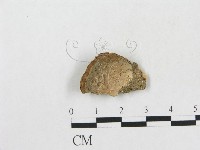 登錄號:F0007851藏品圖，第1張