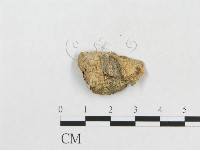 登錄號:F0007851藏品圖，第3張