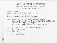 登錄號:F0007852藏品圖，第2張