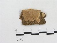 登錄號:F0007852藏品圖，第1張