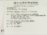 登錄號:F0007853藏品圖，第2張