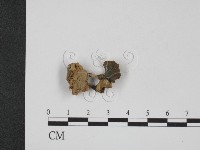 登錄號:F0007854藏品圖，第1張