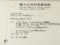 登錄號:F0007856藏品圖，第2張