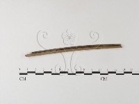 登錄號:F0007856藏品圖，第1張
