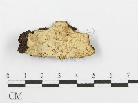 登錄號:F0007857藏品圖，第1張