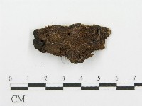 登錄號:F0007857藏品圖，第3張