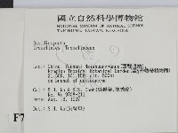 登錄號:F0007858藏品圖，第2張