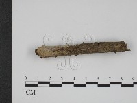 登錄號:F0007858藏品圖，第3張