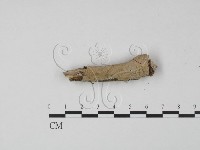 登錄號:F0007858藏品圖，第4張