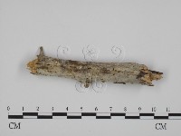 登錄號:F0007859藏品圖，第1張