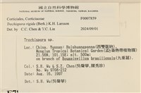 登錄號:F0007859藏品圖，第3張