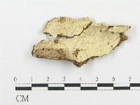 登錄號:F0007860藏品圖，第1張