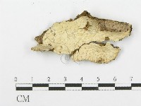 登錄號:F0007860藏品圖，第4張