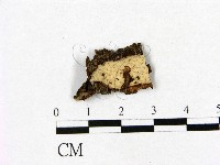 登錄號:F0007861藏品圖，第1張