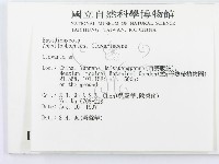 珊瑚菌屬藏品圖，第2張