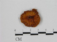 登錄號:F0007864藏品圖，第3張