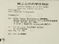 栓菌屬藏品圖，第2張