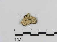 登錄號:F0007867藏品圖，第1張