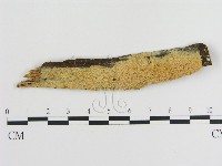 登錄號:F0007869藏品圖，第1張