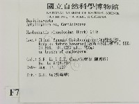 登錄號:F0007870藏品圖，第2張