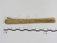 登錄號:F0007870藏品圖，第3張