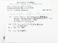 登錄號:F0007871藏品圖，第2張