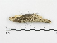 登錄號:F0007871藏品圖，第1張
