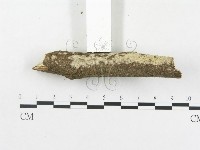 登錄號:F0007871藏品圖，第5張